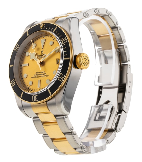 Tudor Black Bay M79733N-0004 Image 2